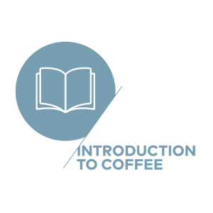 SCA Introduction to Coffee