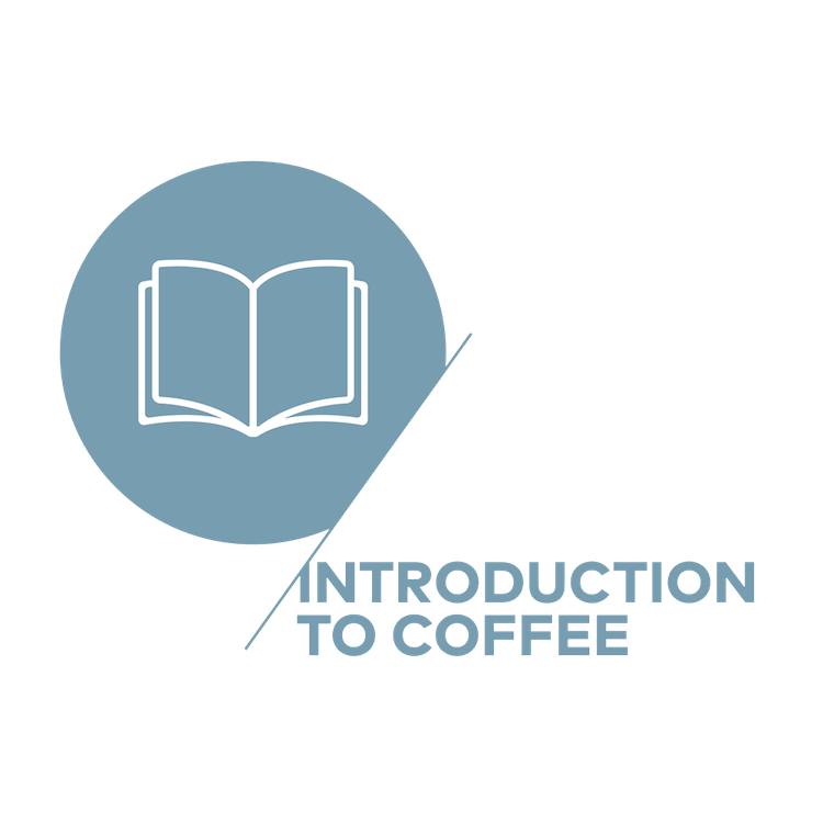 SCA Introduction to Coffee
